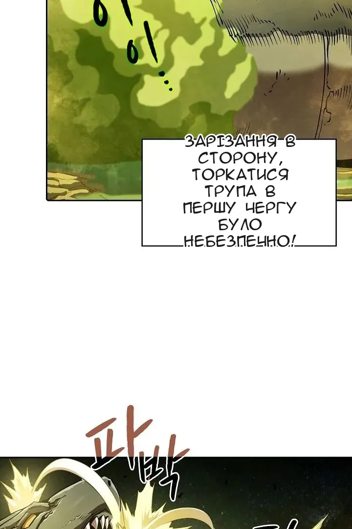Сторінка 17