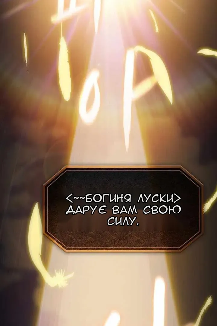 Сторінка 29