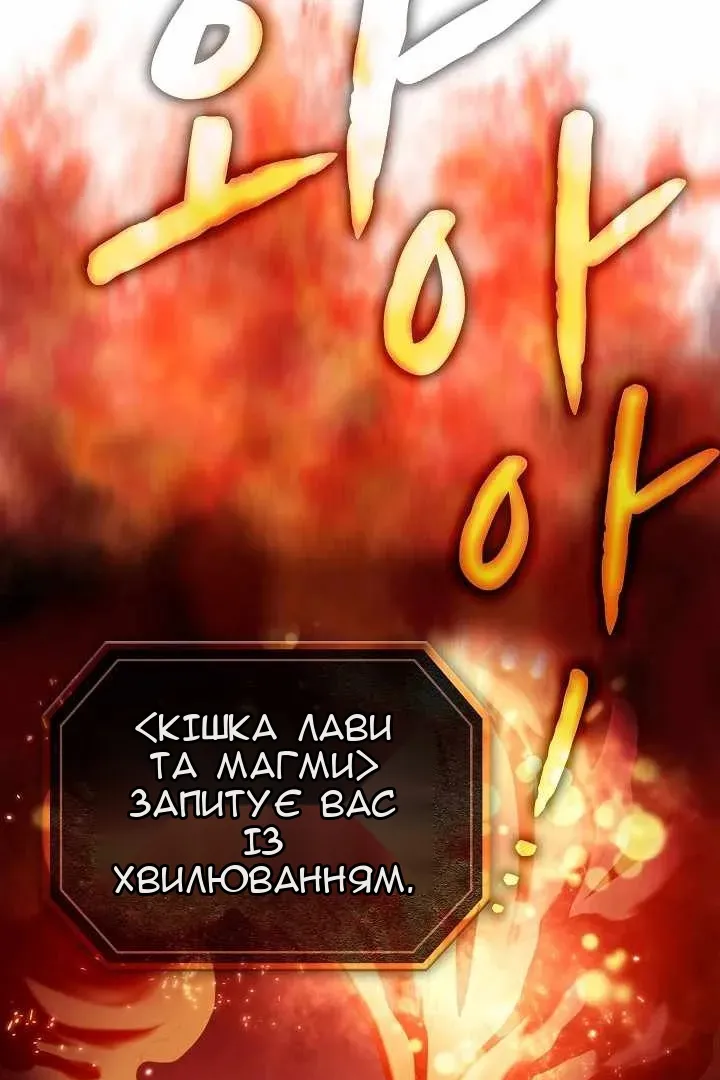 Сторінка 41