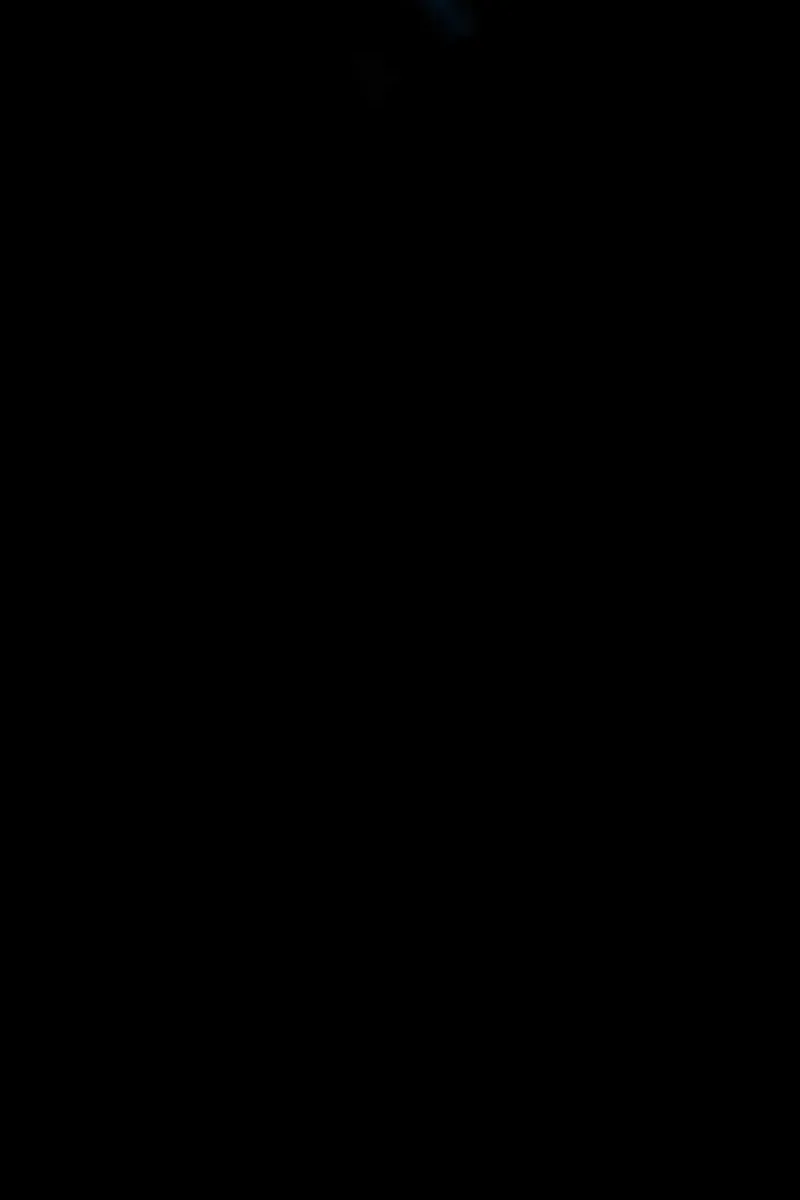 Сторінка 12