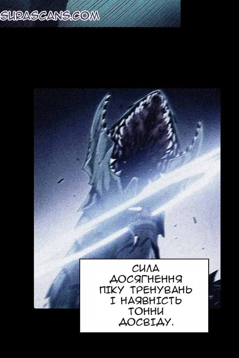 Сторінка 17