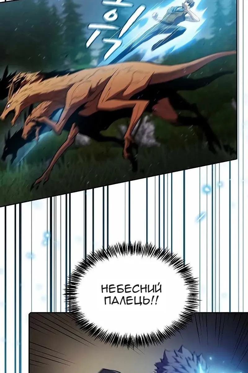 Сторінка 29
