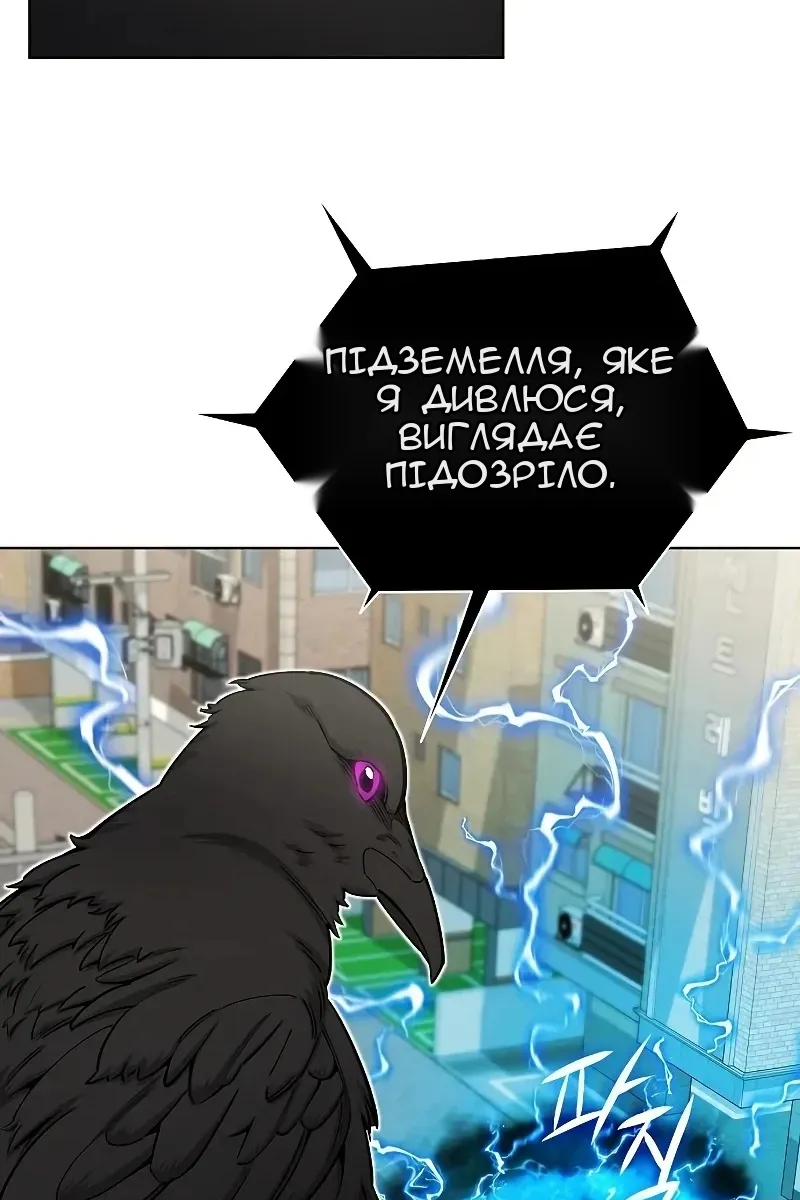 Сторінка 15