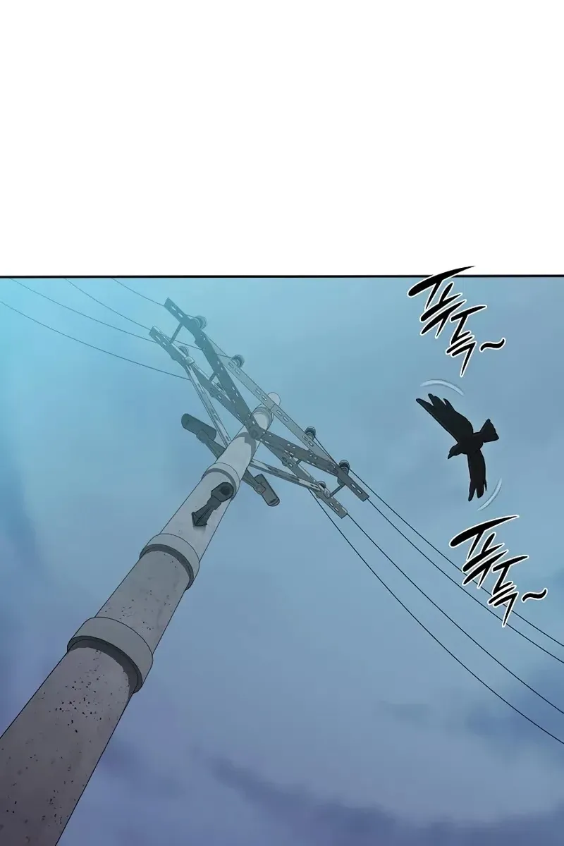 Сторінка 11