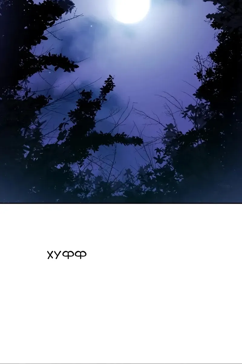 Сторінка 163