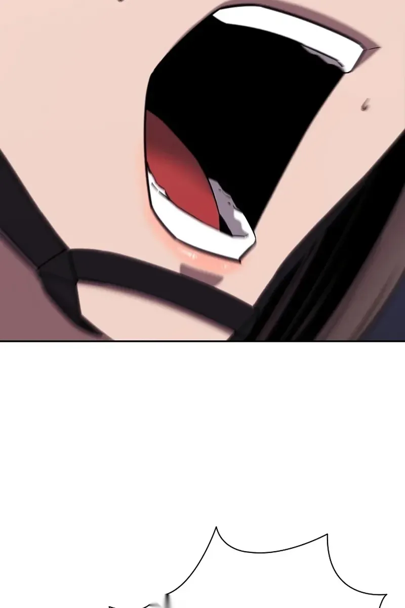 Сторінка 13