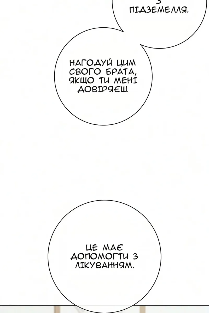 Сторінка 109