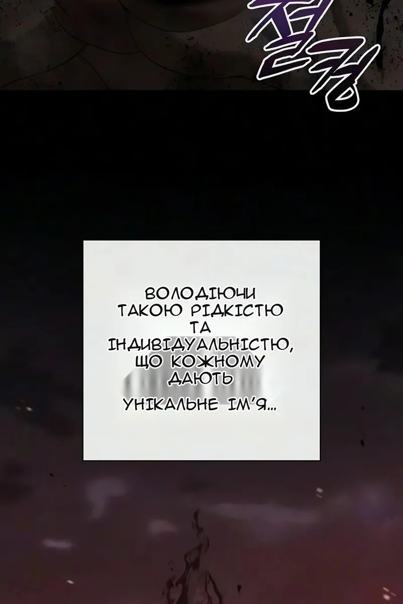 Сторінка 29