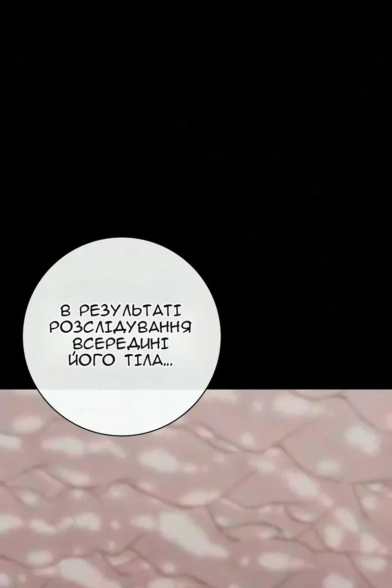 Сторінка 23