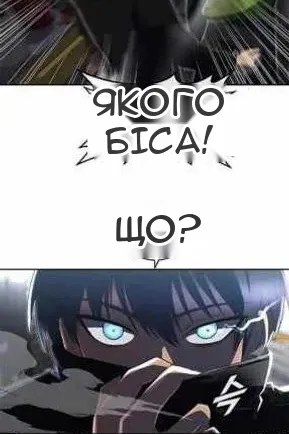 Сторінка 29