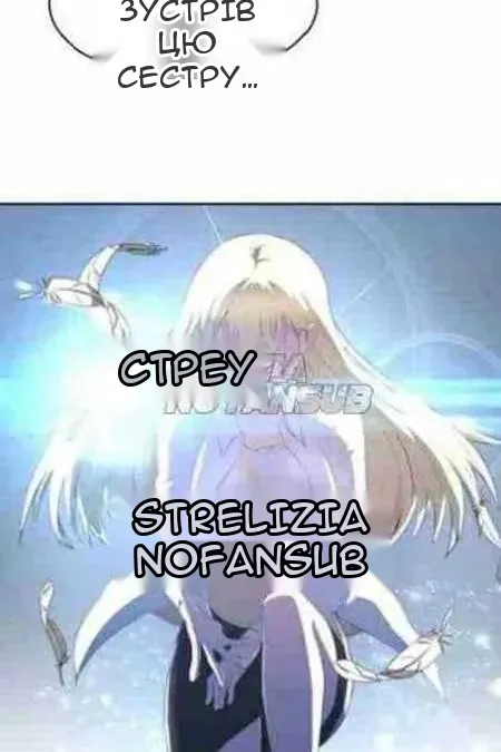 Сторінка 111