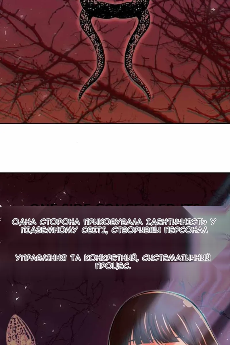 Сторінка 5