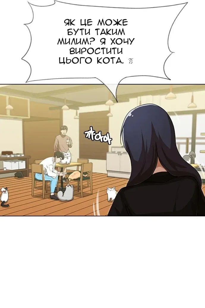 Сторінка 29