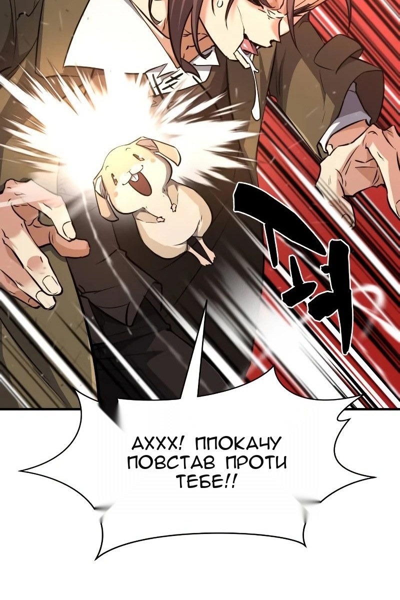 Сторінка 29