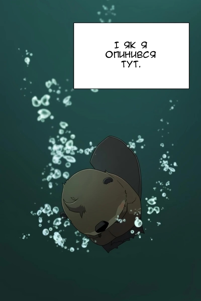 Сторінка 6