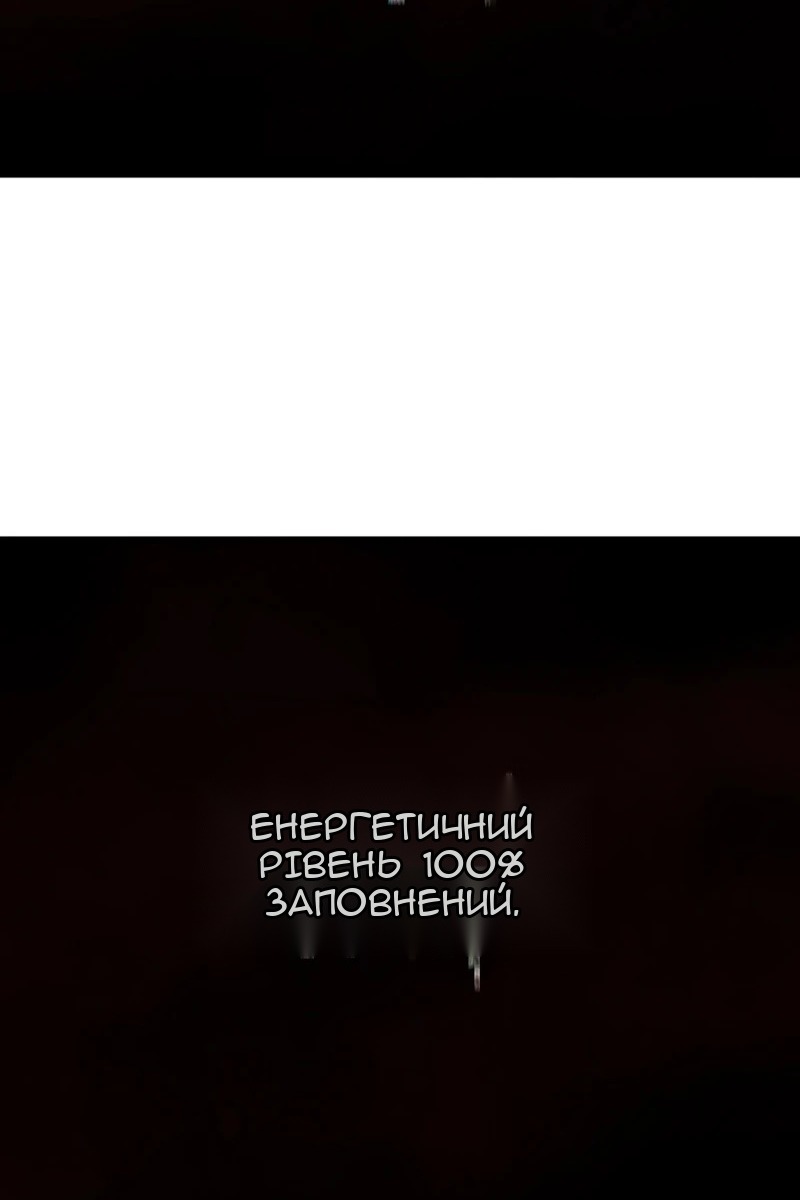 Сторінка 111
