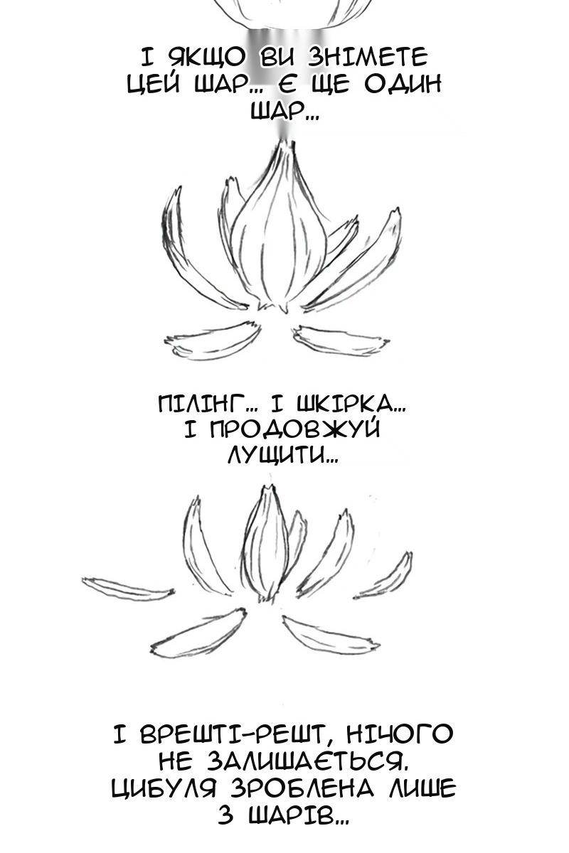 Сторінка 117
