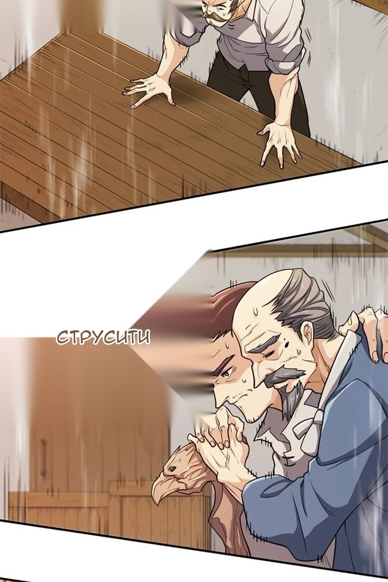 Сторінка 11