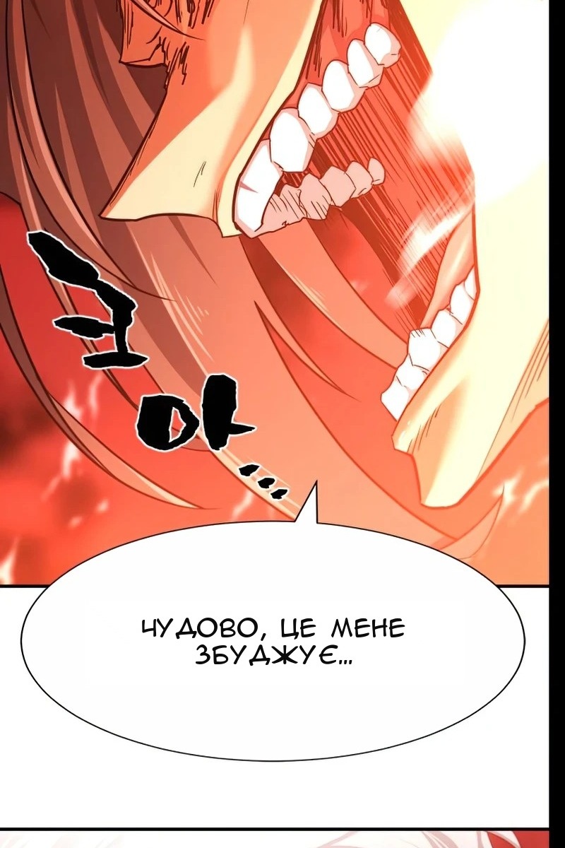 Сторінка 29