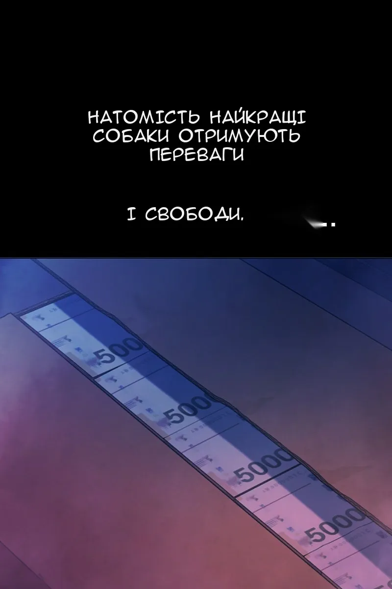 Сторінка 10