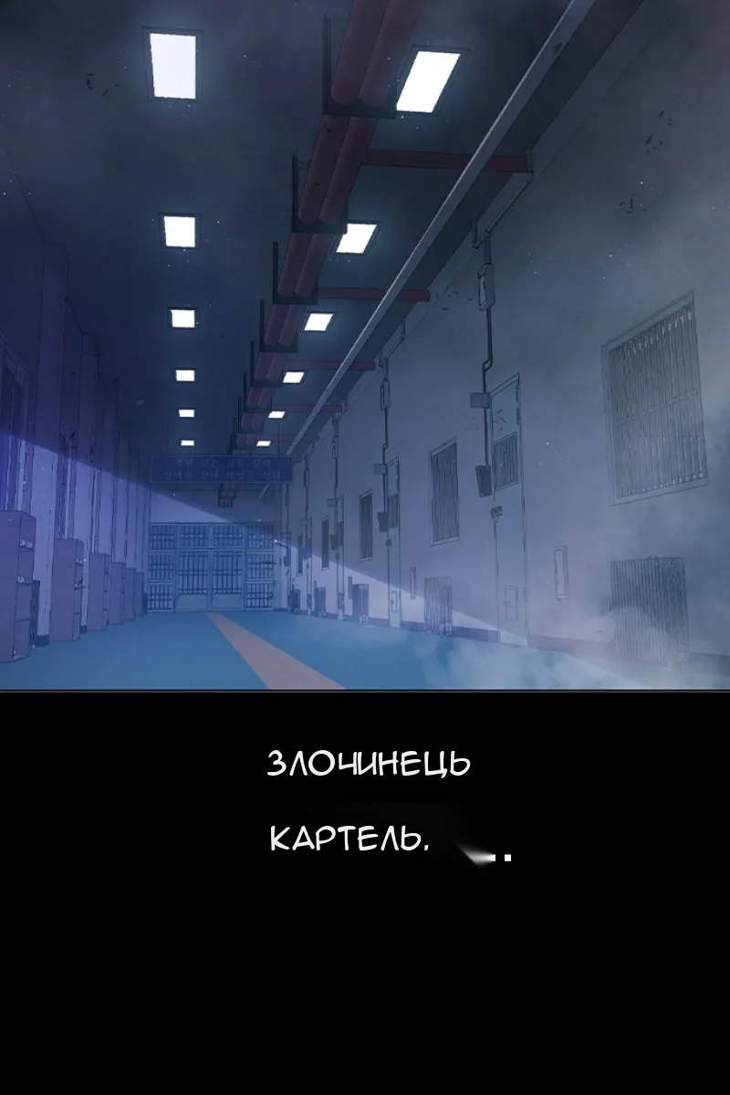 Сторінка 12