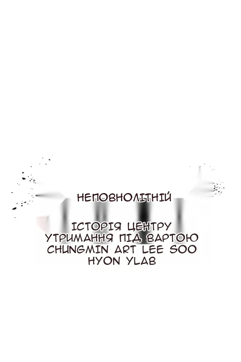 Сторінка 17
