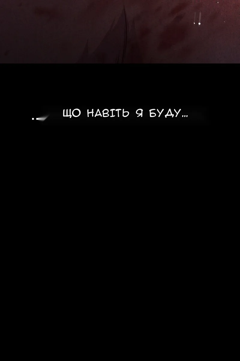 Сторінка 17