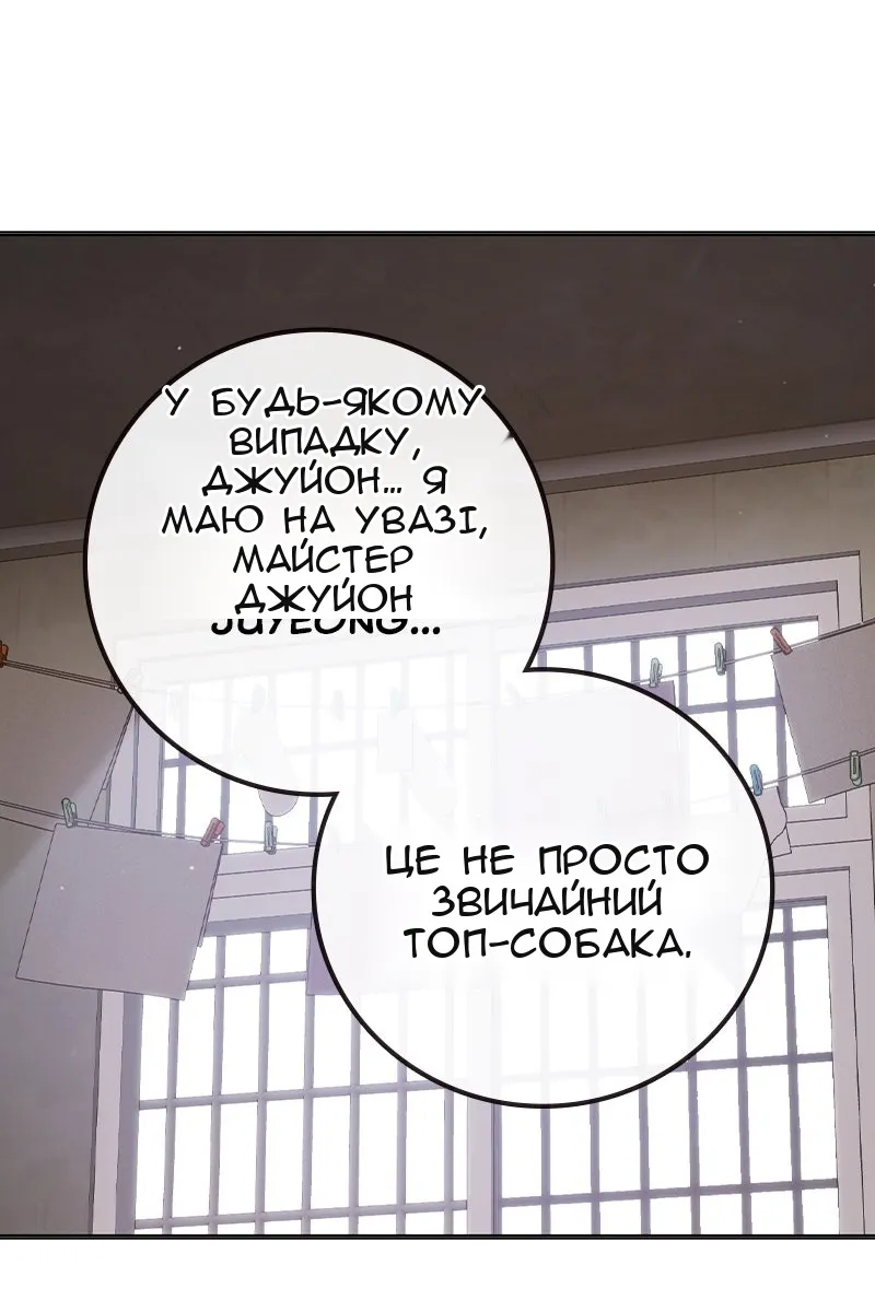 Сторінка 115