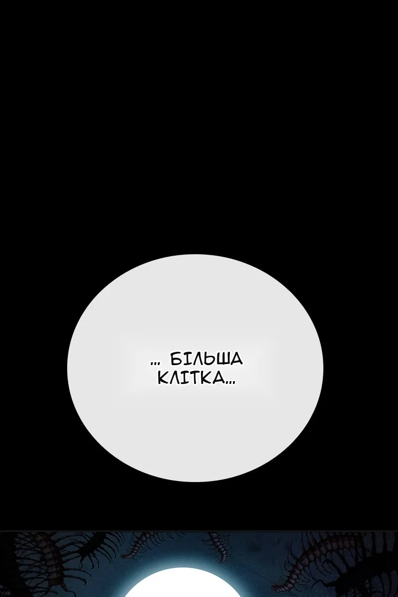 Сторінка 209