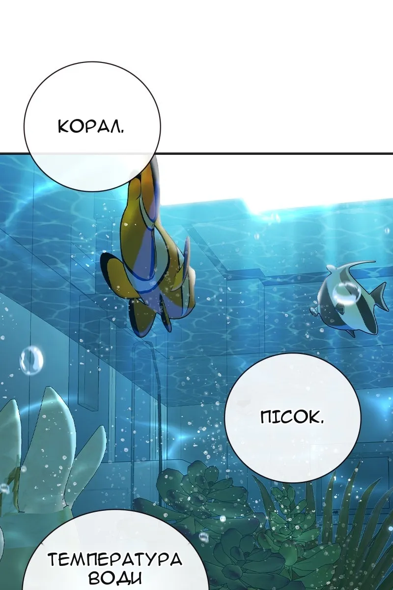 Сторінка 80