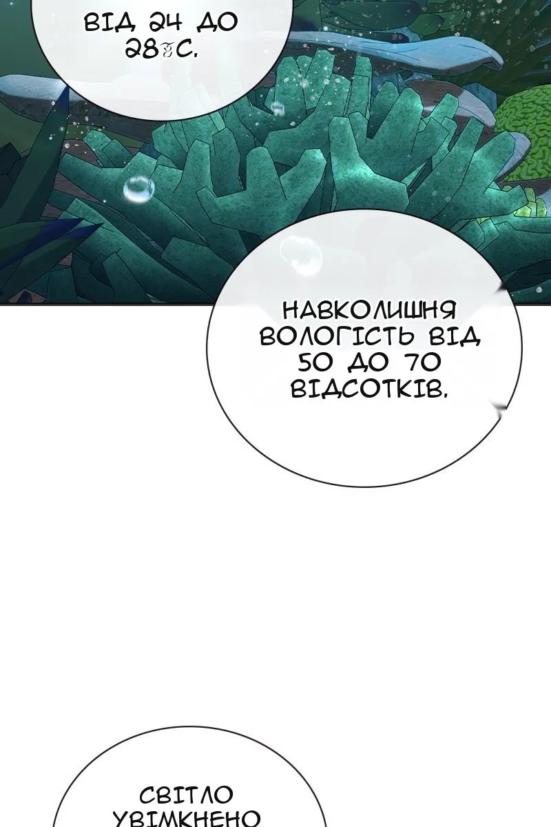 Сторінка 81