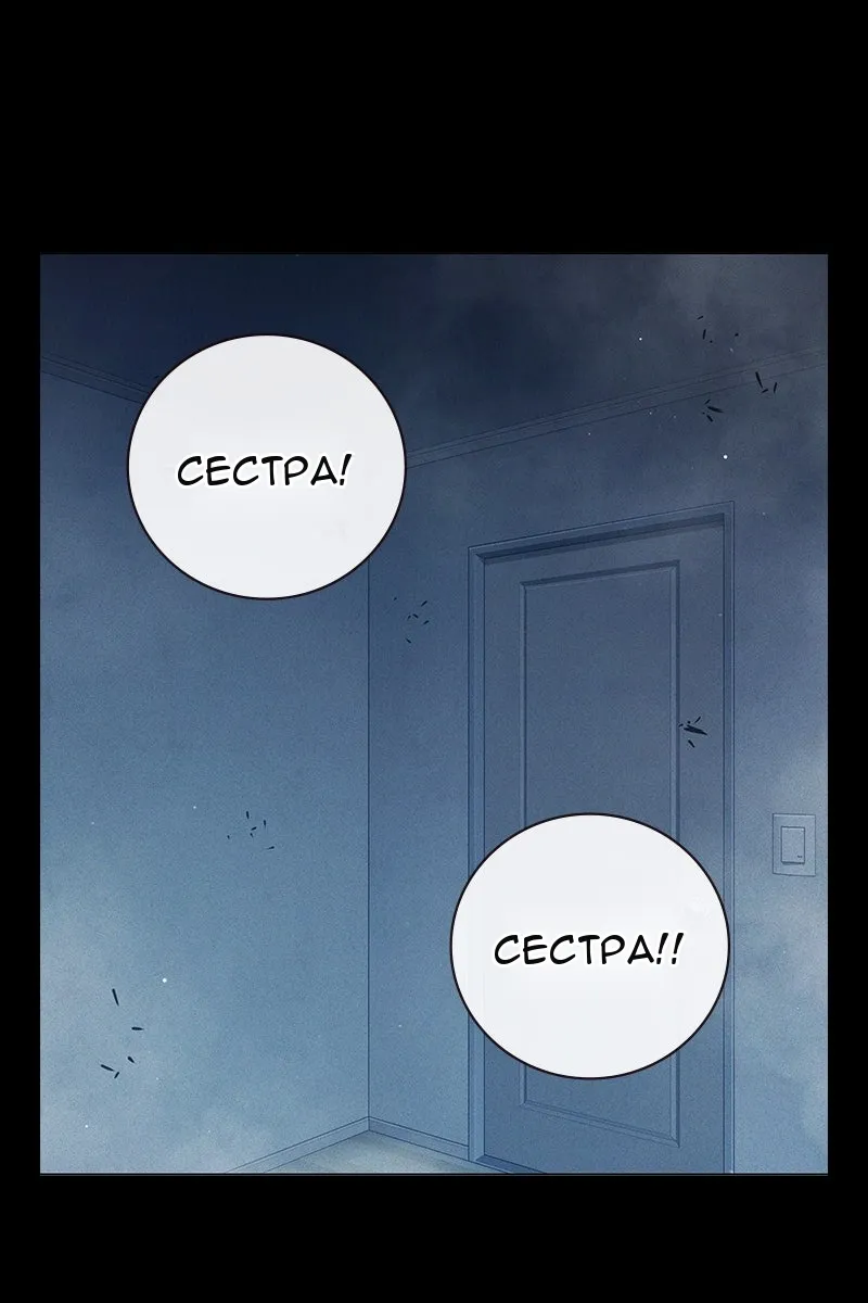Сторінка 81