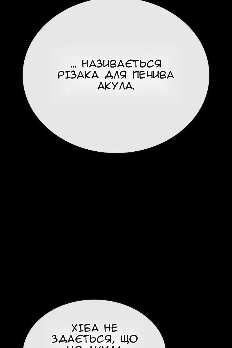 Сторінка 8