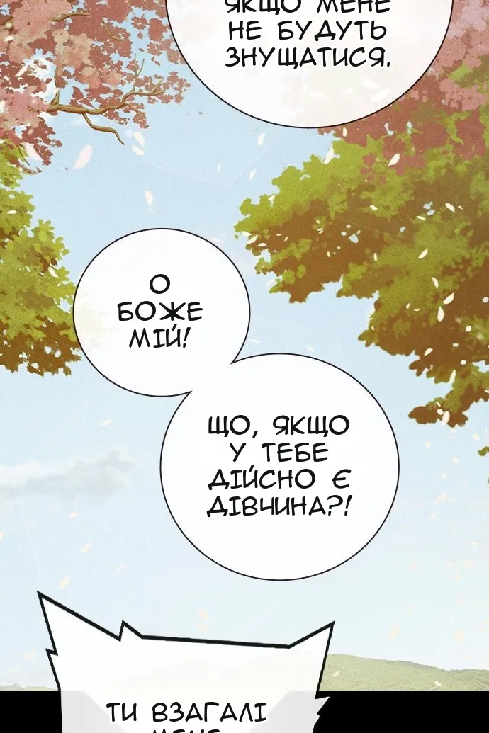 Сторінка 33