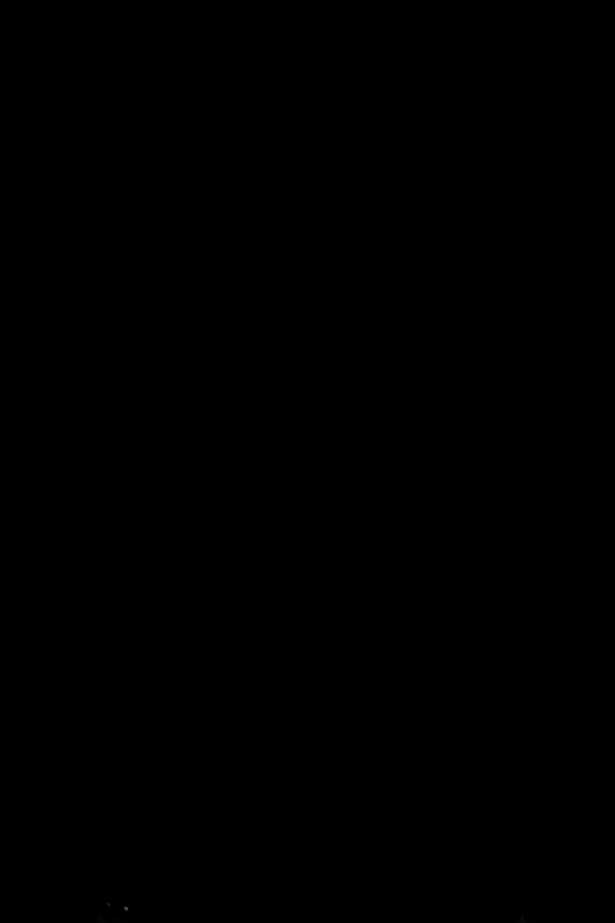 Сторінка 43