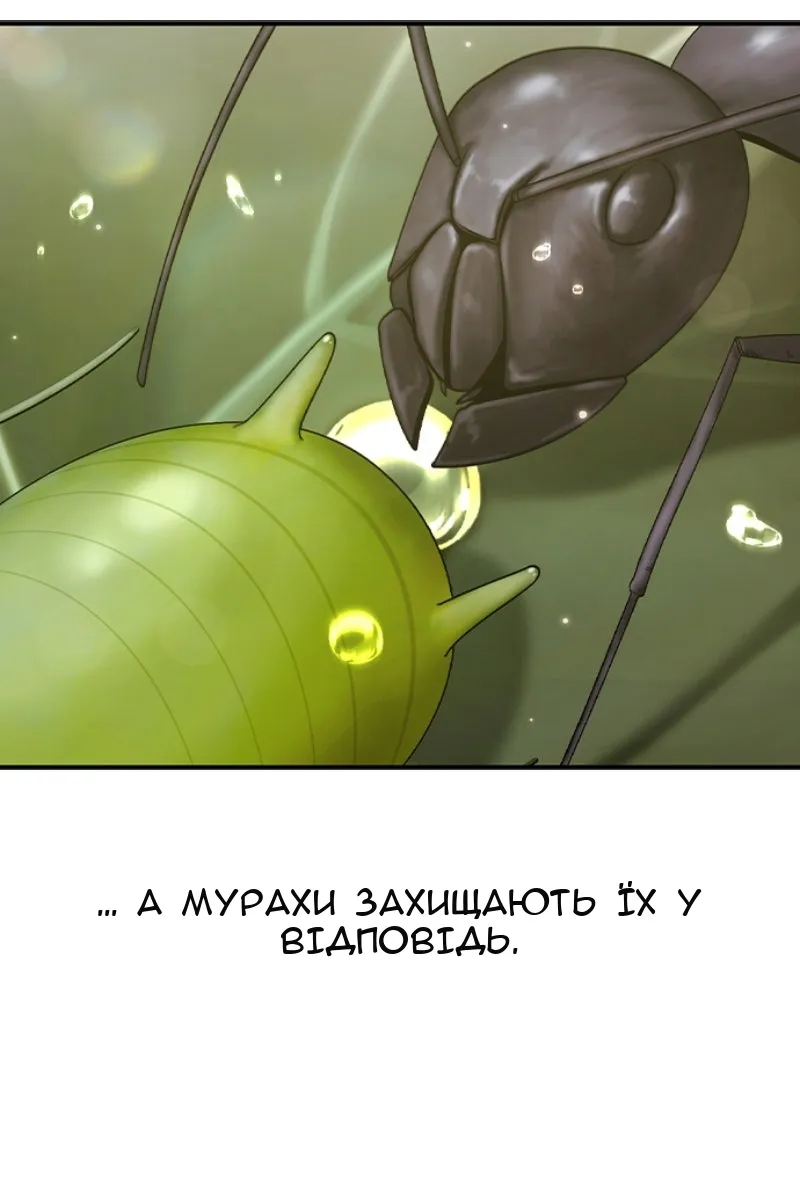 Сторінка 113