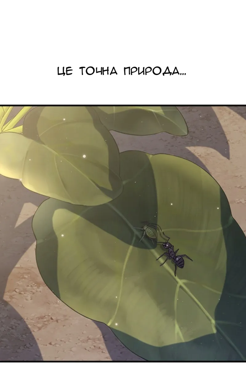 Сторінка 114