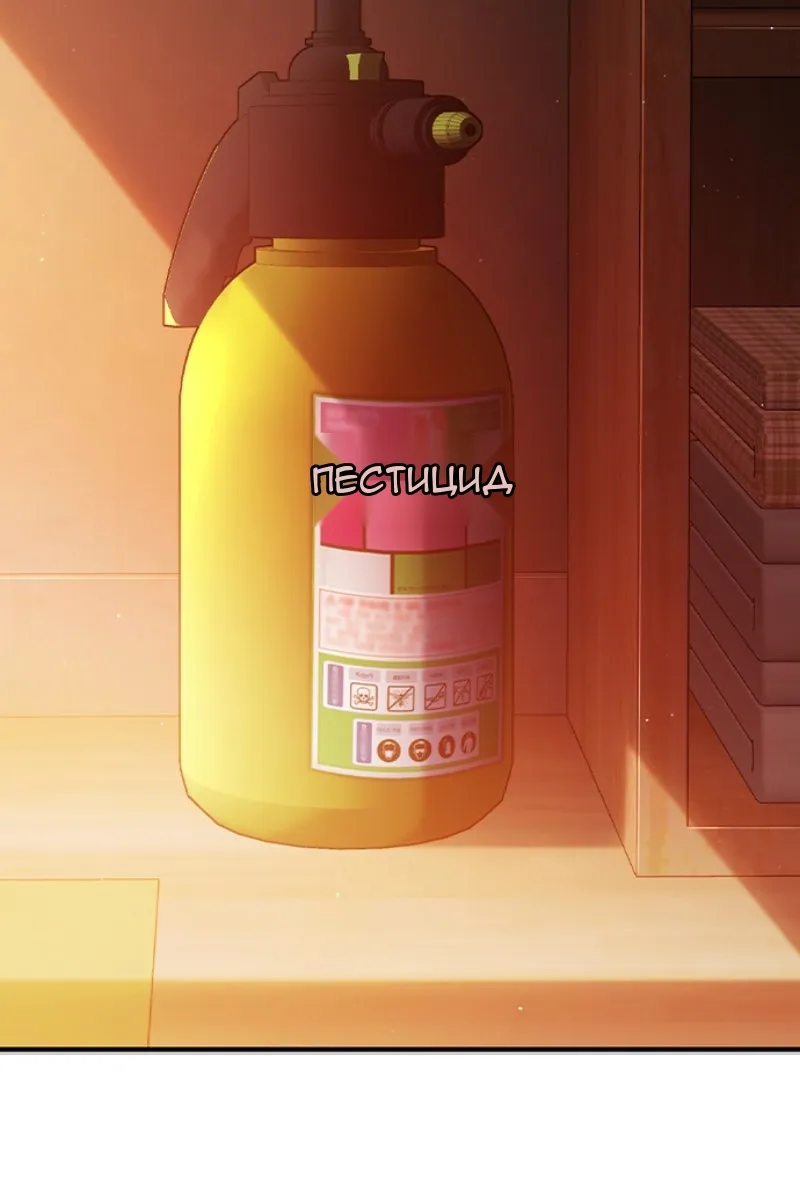 Сторінка 26