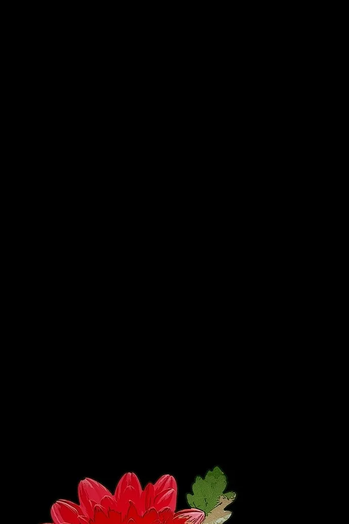 Сторінка 26