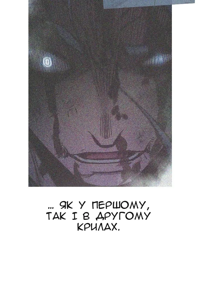 Сторінка 17