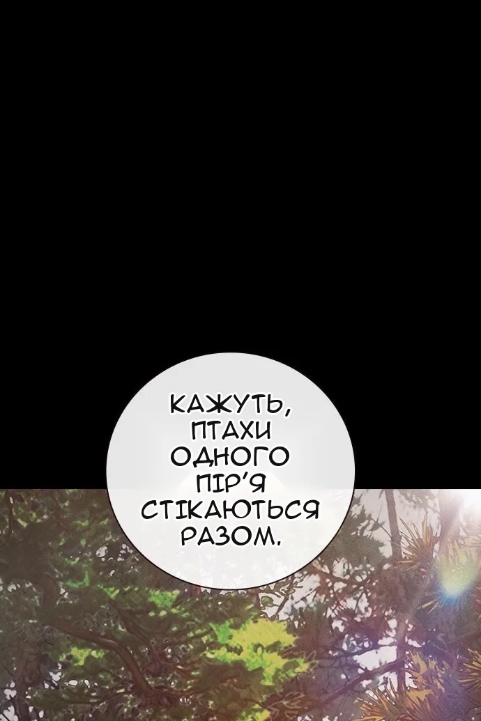 Сторінка 104