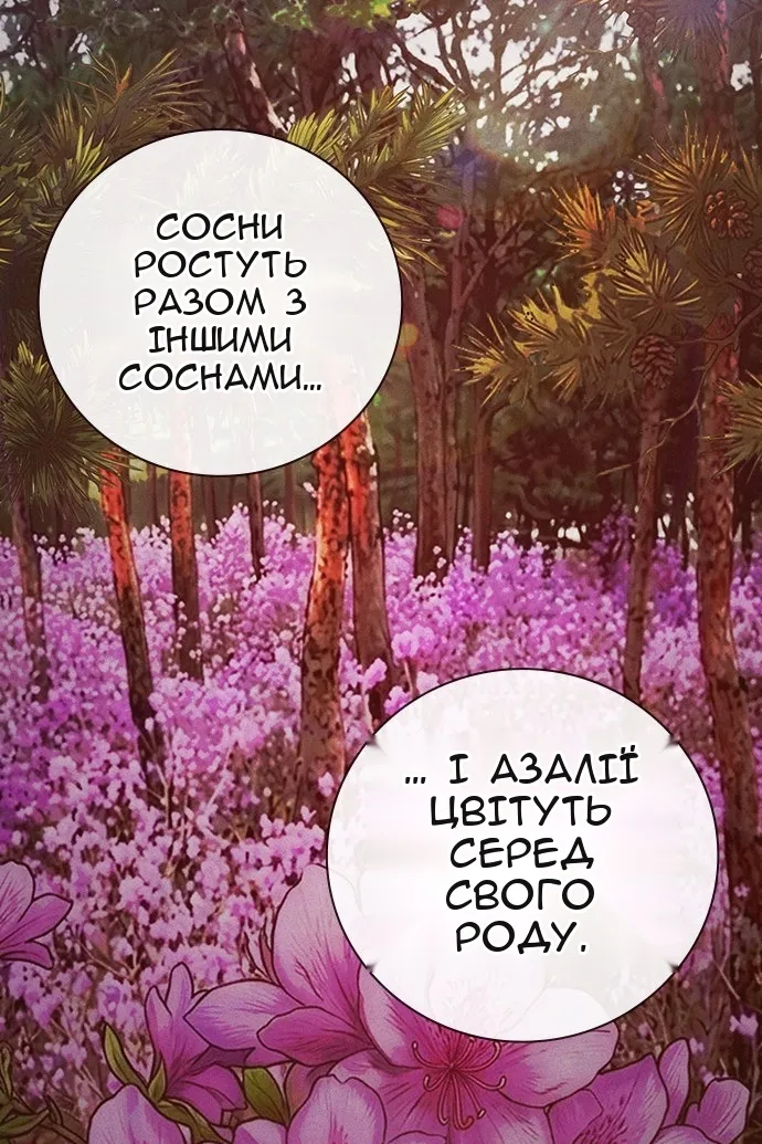 Сторінка 105