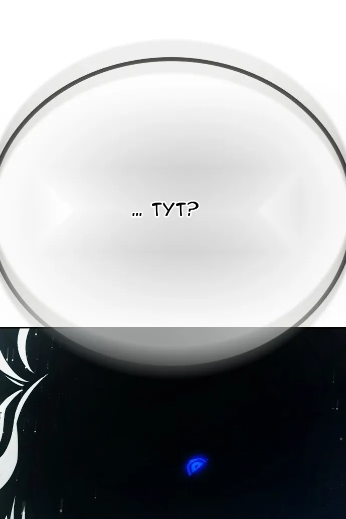 Сторінка 5
