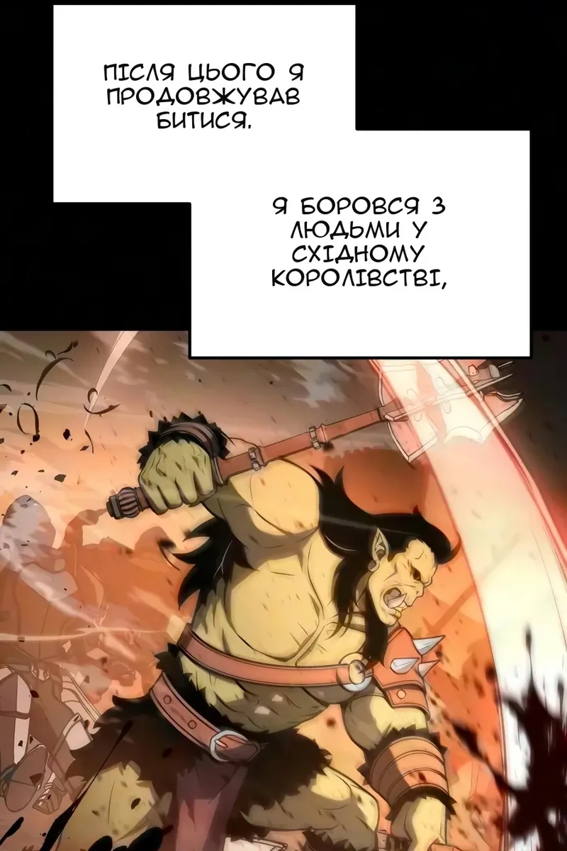 Сторінка 29