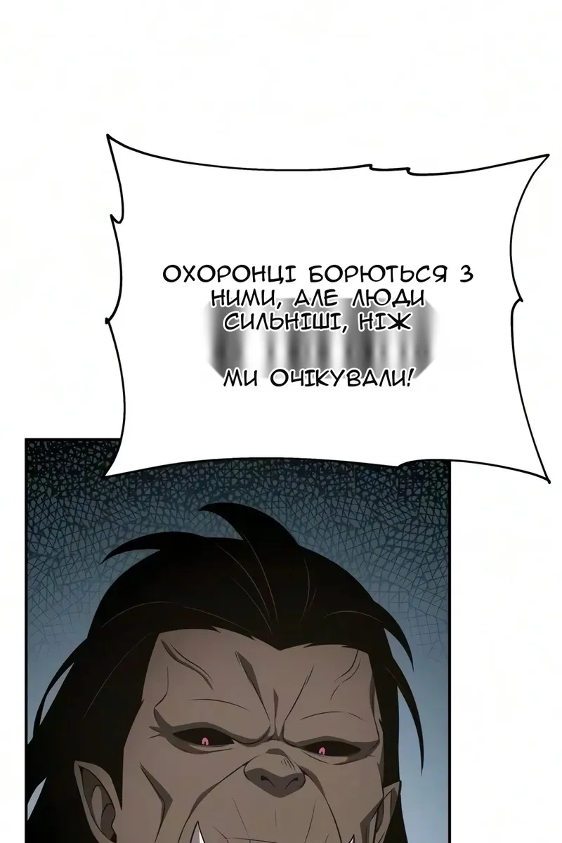 Сторінка 29