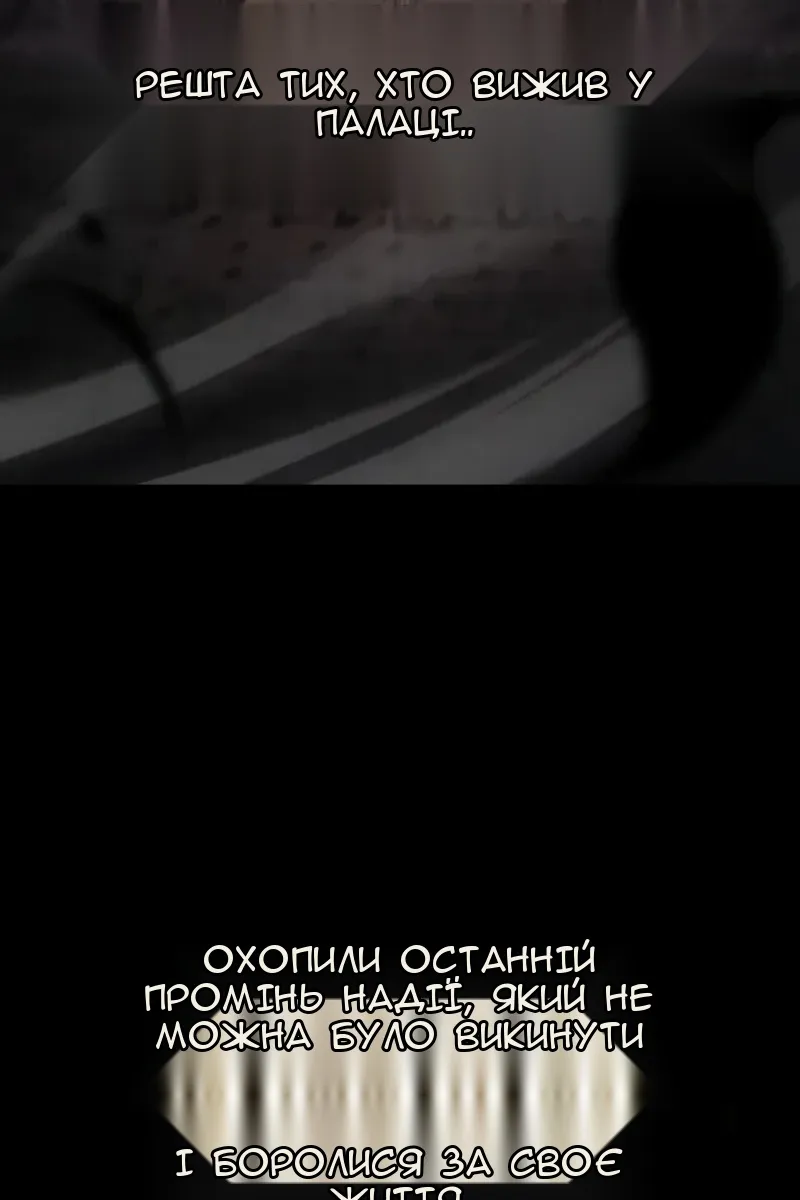 Сторінка 11