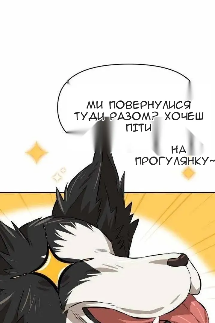Сторінка 17