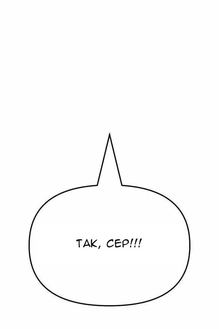 Сторінка 11