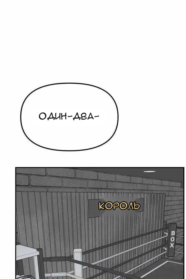 Сторінка 15