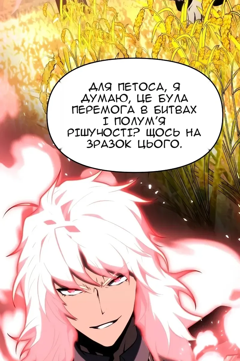 Сторінка 17